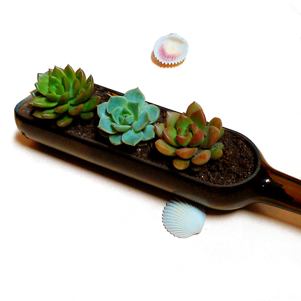 Glass Floating Shelf Decoration